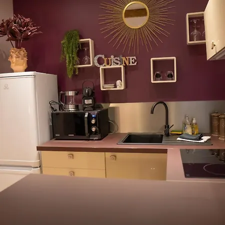 Coeur De Tres Cosy Parking 公寓 *