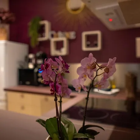 Coeur De Tres Cosy Parking *