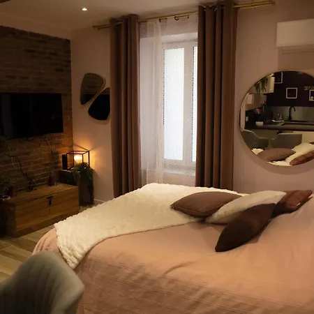 Coeur De Tres Cosy Parking 公寓 滨海萨纳里